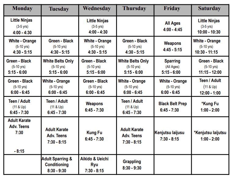 Weekly martial arts class schedule for various age groups and skill levels.