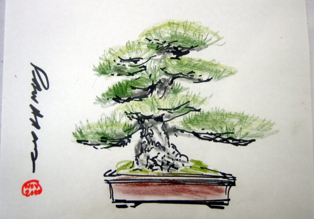 Ink and watercolor bonsai illustration